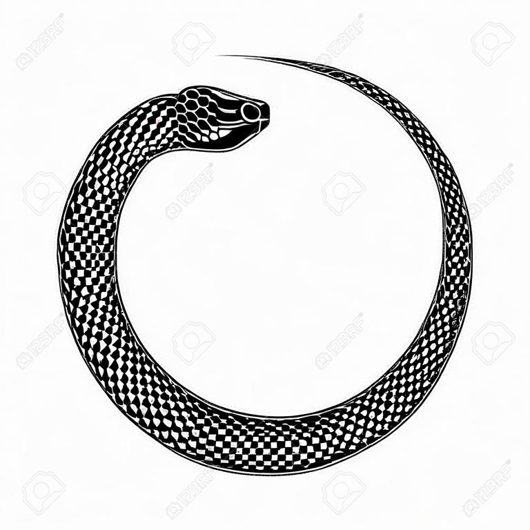 Ouroboros 기호 문신 디자인. 뱀은 꼬리를 물었다. 벡터 고 대 부호 흰색 배경에 고립입니다.