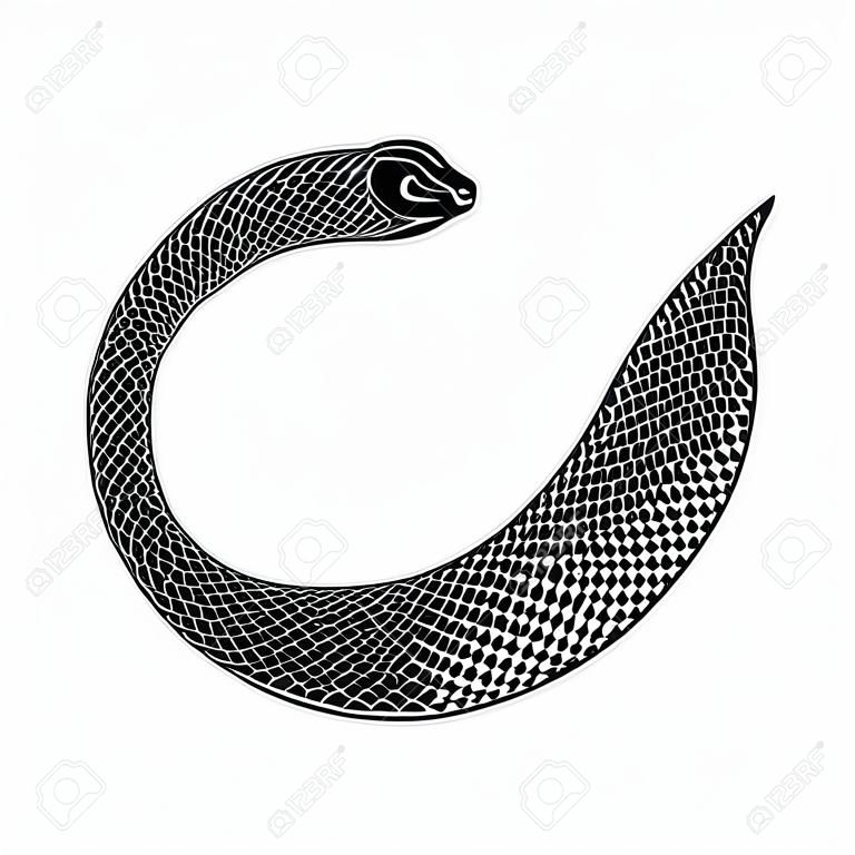 Ouroboros sembolü dövme tasarımı. Yılan kuyruğunu ısırır. Beyaz bir arka plan üzerinde izole vektör antik işaret.