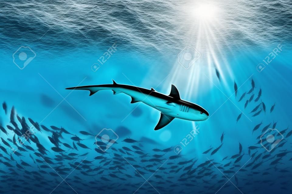 Rekin i małe ryby w oceanie - tło natury