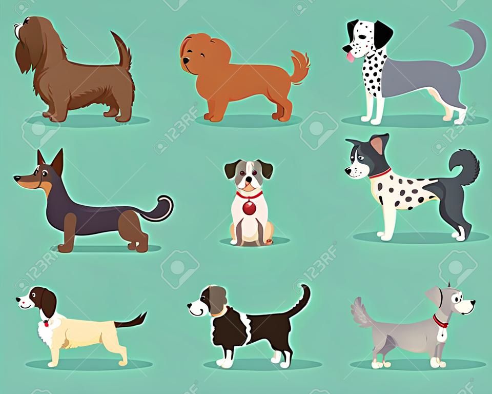 Vector illustration set of cute and funny cartoon breed of dog