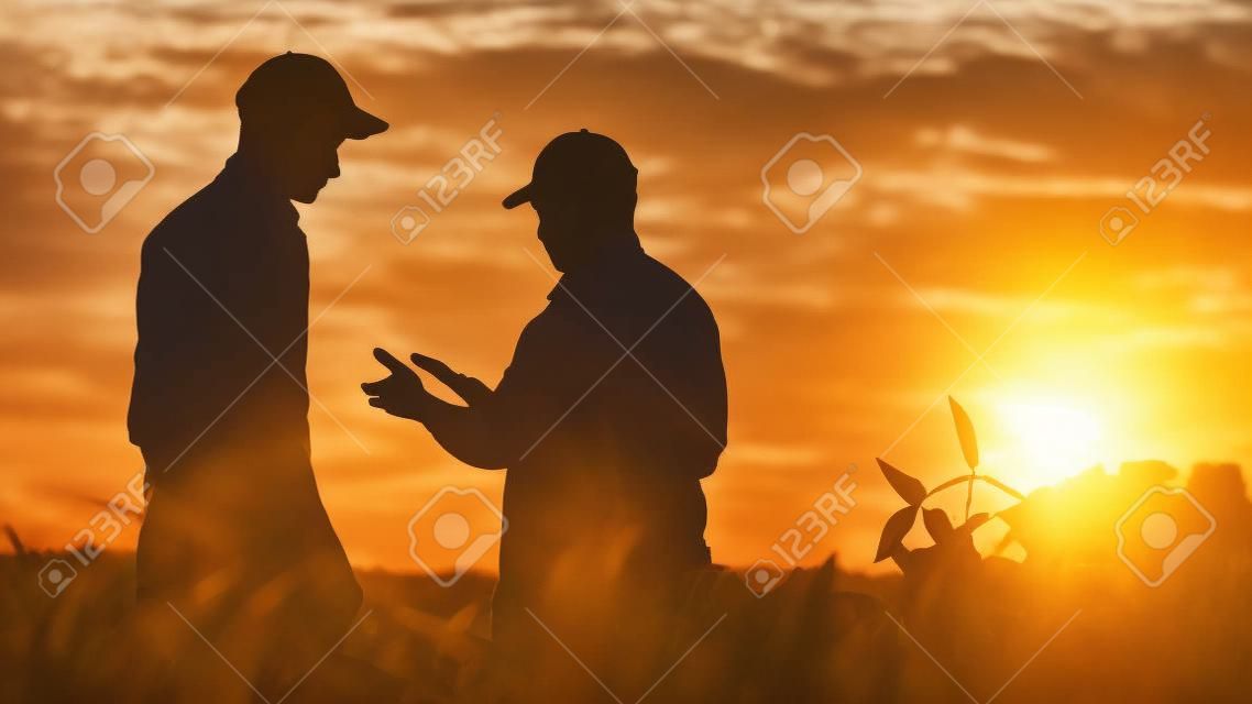 Um agricultor estende a mão para um aperto de mão a um jovem trabalhador. De pé em um campo ao pôr do sol - conceito de agronegócio
