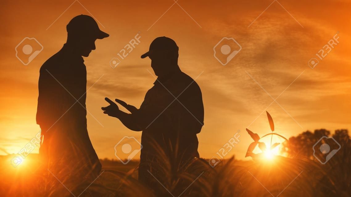 Um agricultor estende a mão para um aperto de mão a um jovem trabalhador. De pé em um campo ao pôr do sol - conceito de agronegócio