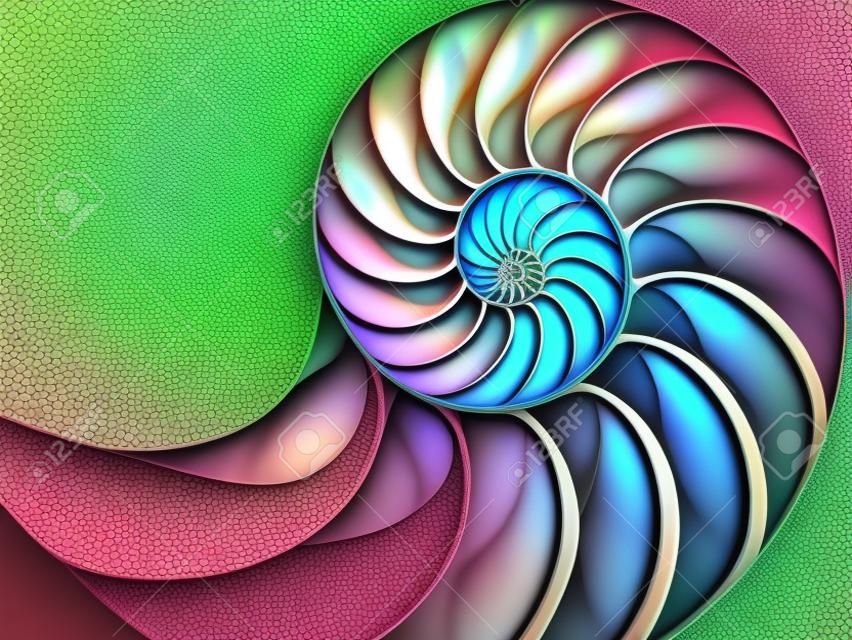 Perlenstruktur Nautilus-Symmetrie-Querschnitt im Inneren des Musters Naturhintergrundtextur