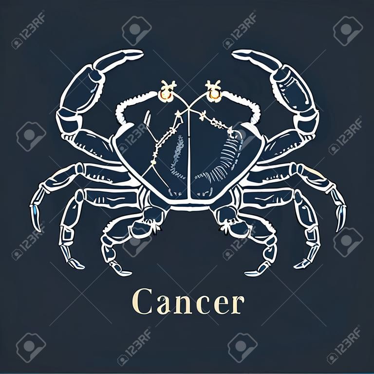 Zodiac constellation of Cancer in engraving style. Vector retro graphic illustration of astrological sign Crab.