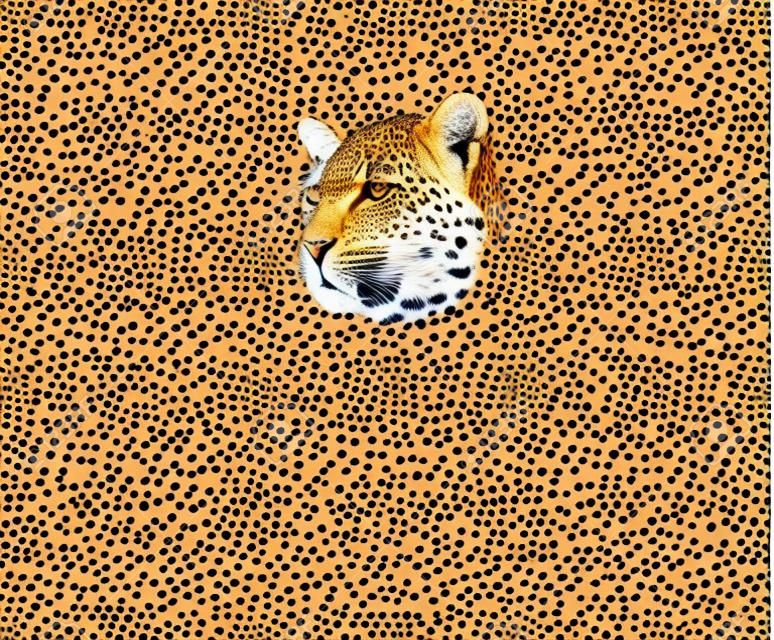 patrón de ilustración abstracta pieles y cabezas de leopardo de fondo sin costuras