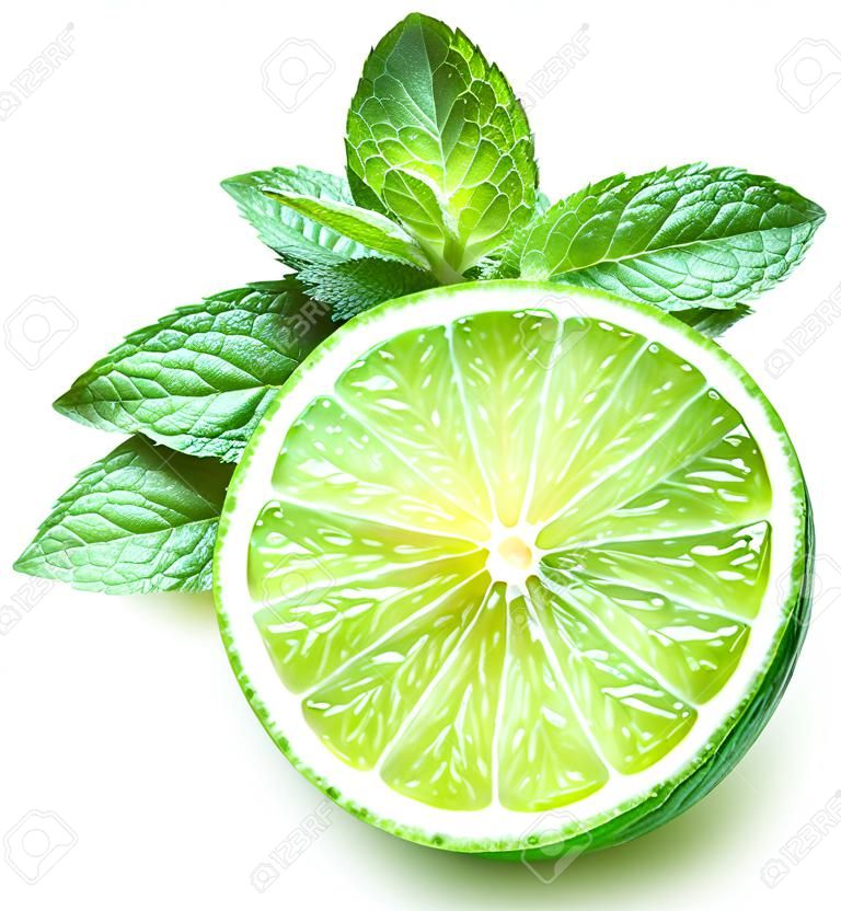 Lime and mint on a white background 