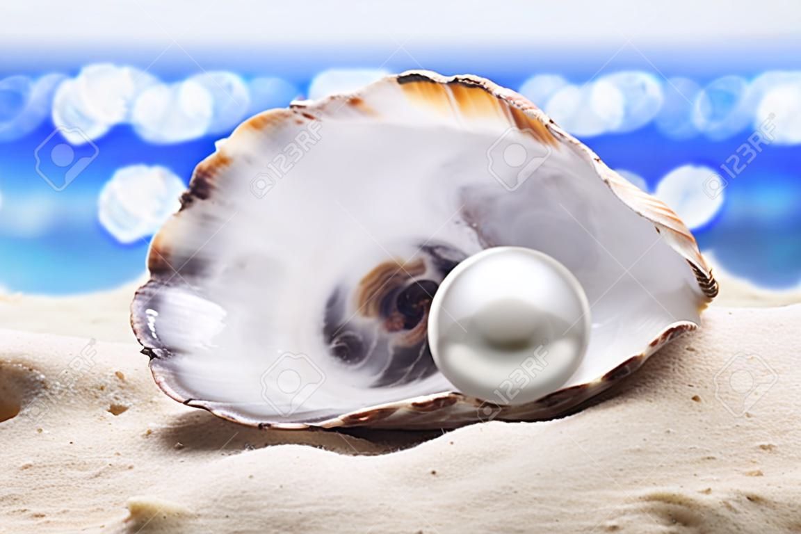 Shell avec une perle sur un sable de mer.