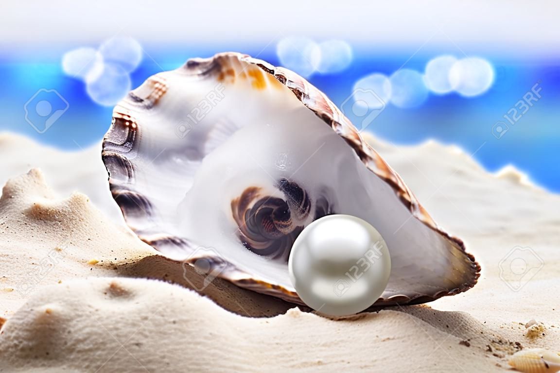 Shell con una perla su una sabbia di mare.