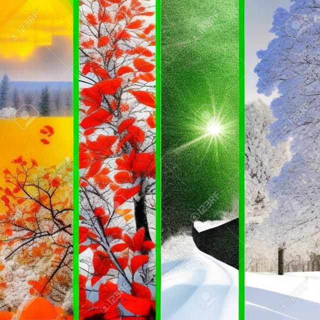 Четыре сезона коллаж. Набор красивых ландшафтов на зимой, весной, летом и осенью.