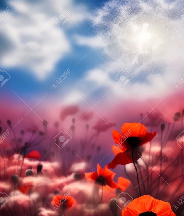 Poppy bloem in de lucht