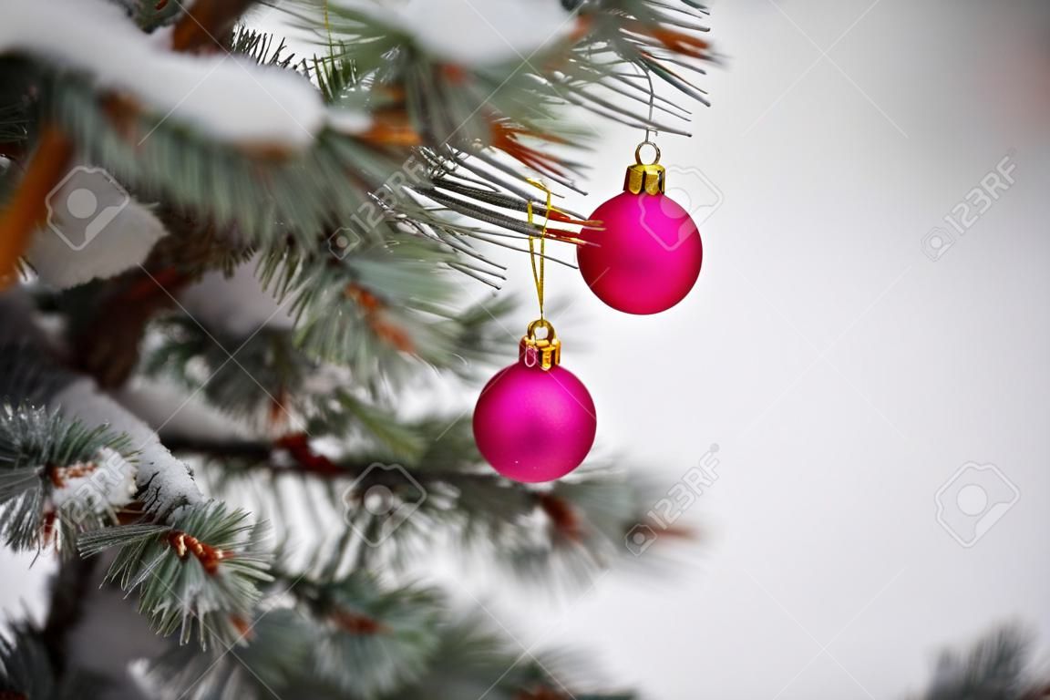 Pink Christmas tree balls in colors of the flag of Ukraine. toy on snowy tree. Christmas background. first snowfall. branches in the snow. Strong blizzards, snowy weather.