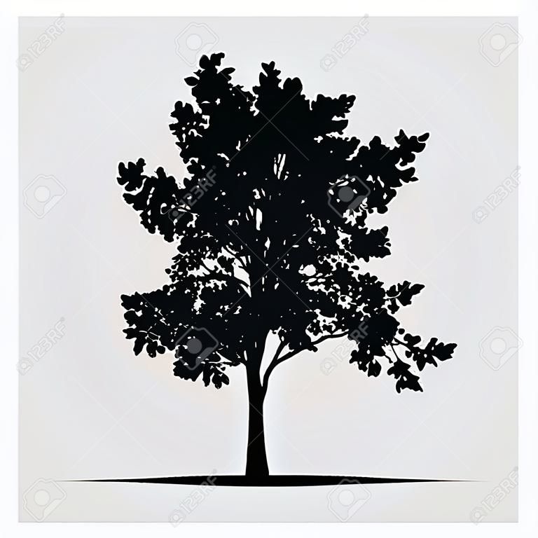 silhouettes d'arbres vecteur