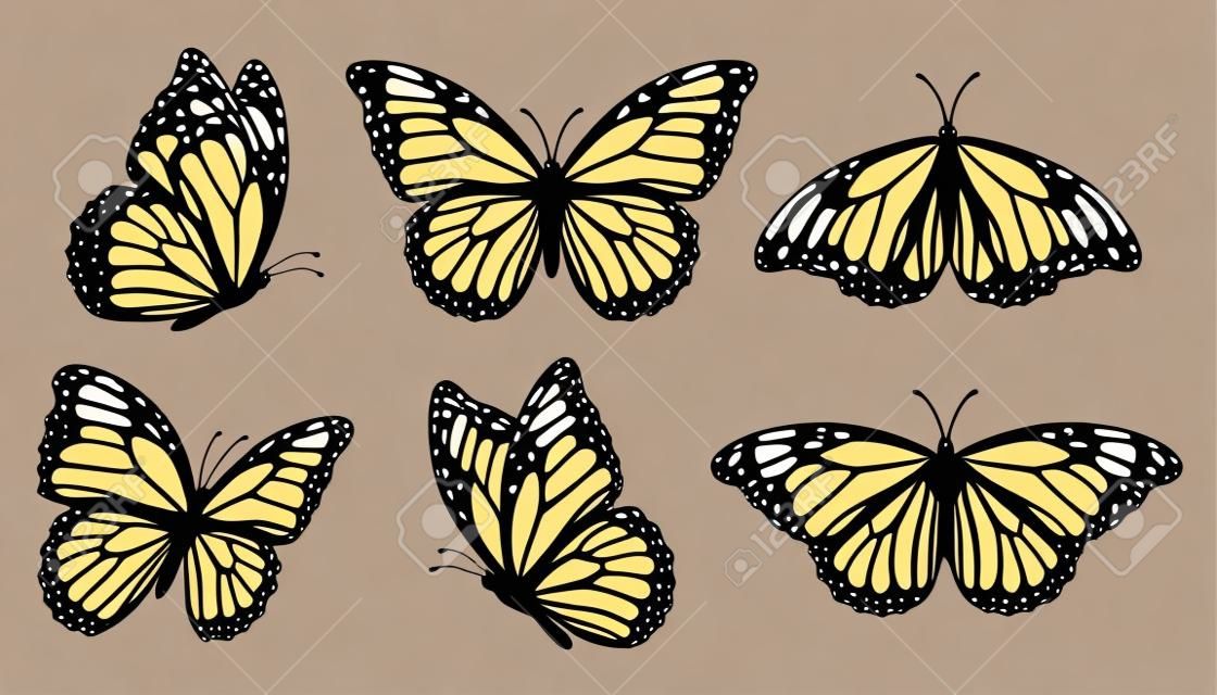 Colección de siluetas de mariposa monarca, ilustración vectorial aislada en fondo blanco.