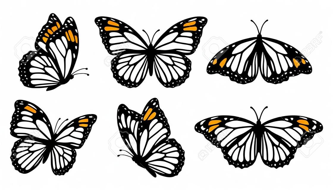 Coleção de silhuetas de borboleta monarca, ilustração vetorial isolada no fundo branco.