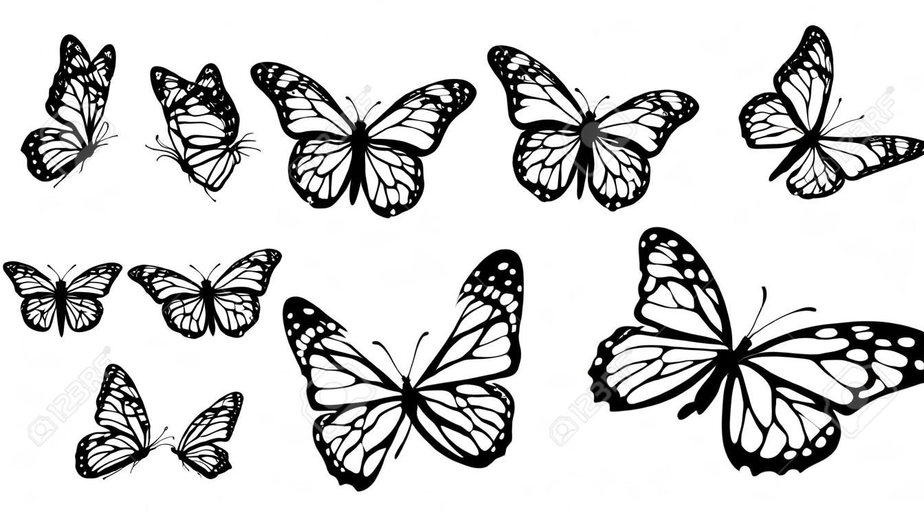 Coleção de silhuetas de borboleta monarca, ilustração vetorial isolada no fundo branco.
