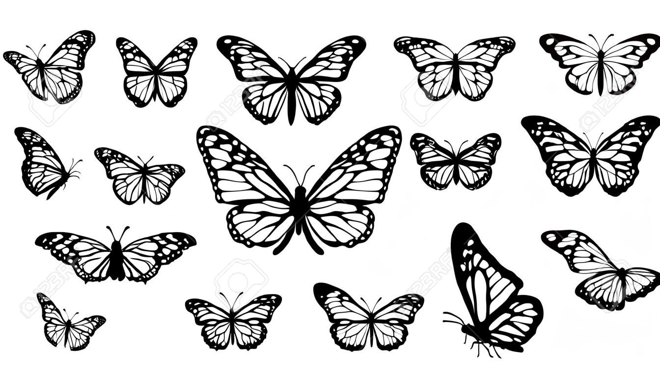 Collection de silhouettes de papillon monarque, illustration vectorielle isolée sur fond blanc.