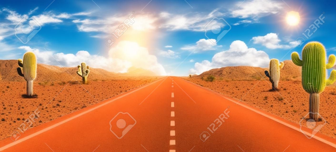 Desert road around with cactus. Nature desert with sky background