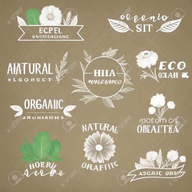 Insieme dei modelli logo con piante e fiori disegnati a mano. cosmetici naturali, erbe, organico, eco.