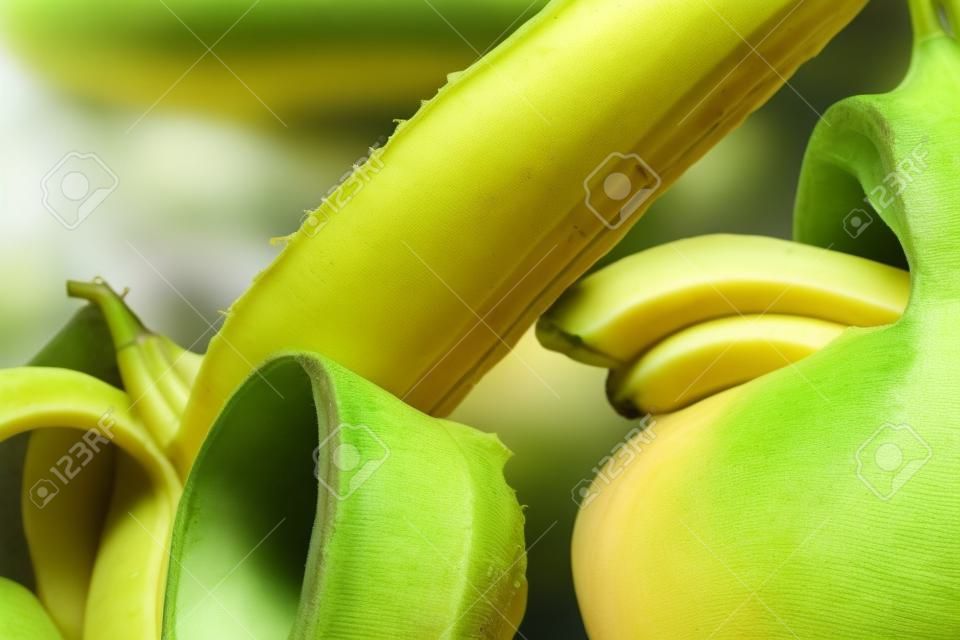 Close-up weibliche Mund lecken geschälte Banane