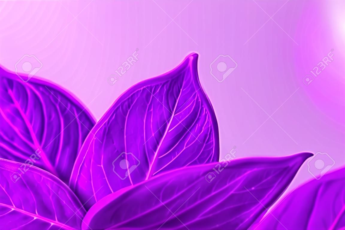 Purple leaf  nature with copy space using as background or wallpaper.