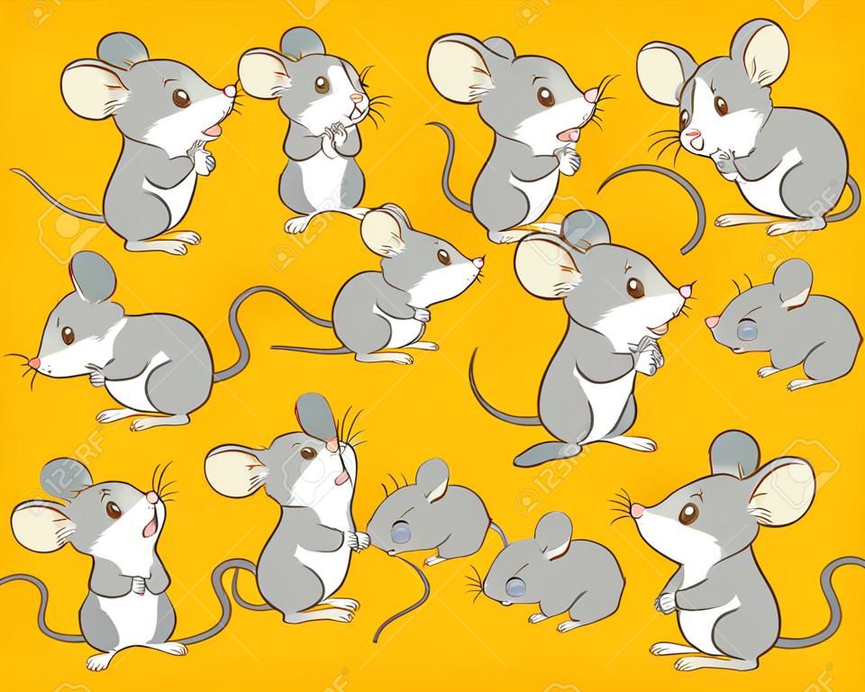 可爱老鼠的许多动作
