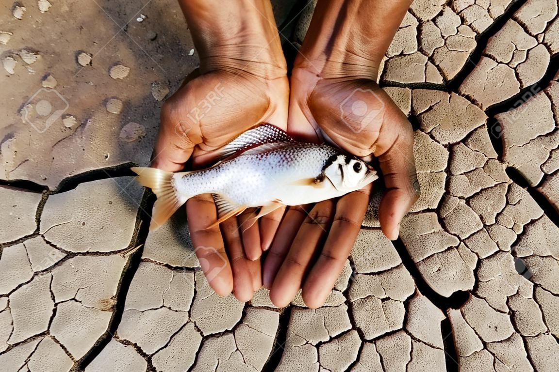 hands holding fish over dried cracked earth  