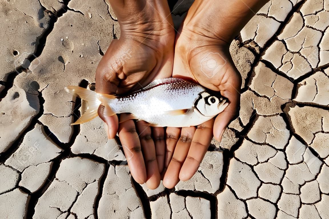 hands holding fish over dried cracked earth  