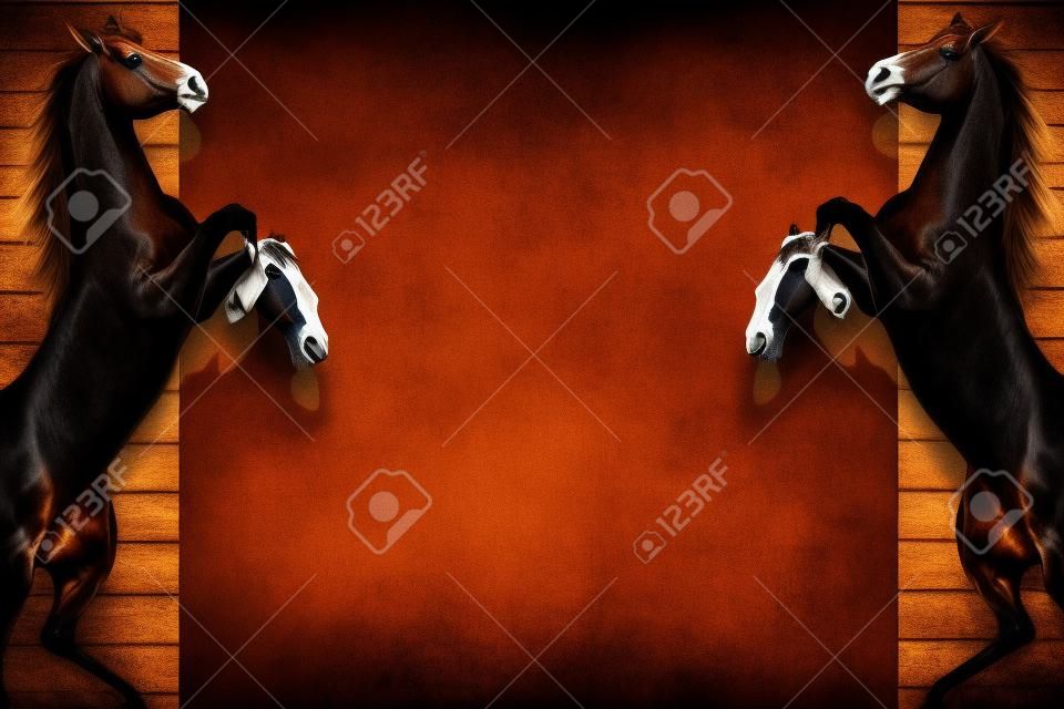 Rearing Horses Copy Space Design. Wooden Background and Two Rearing Horses.