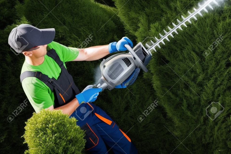 园丁在工作专业汽油绿篱机。