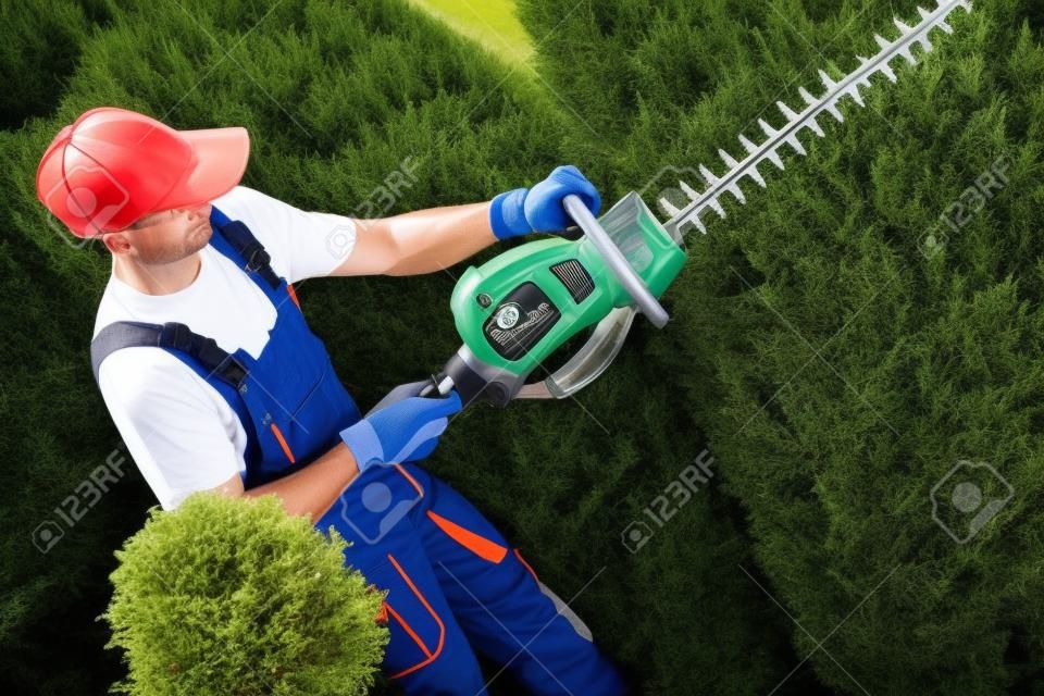 Gärtner mit Berufs Benzin-Heckenschere am Arbeitsplatz.