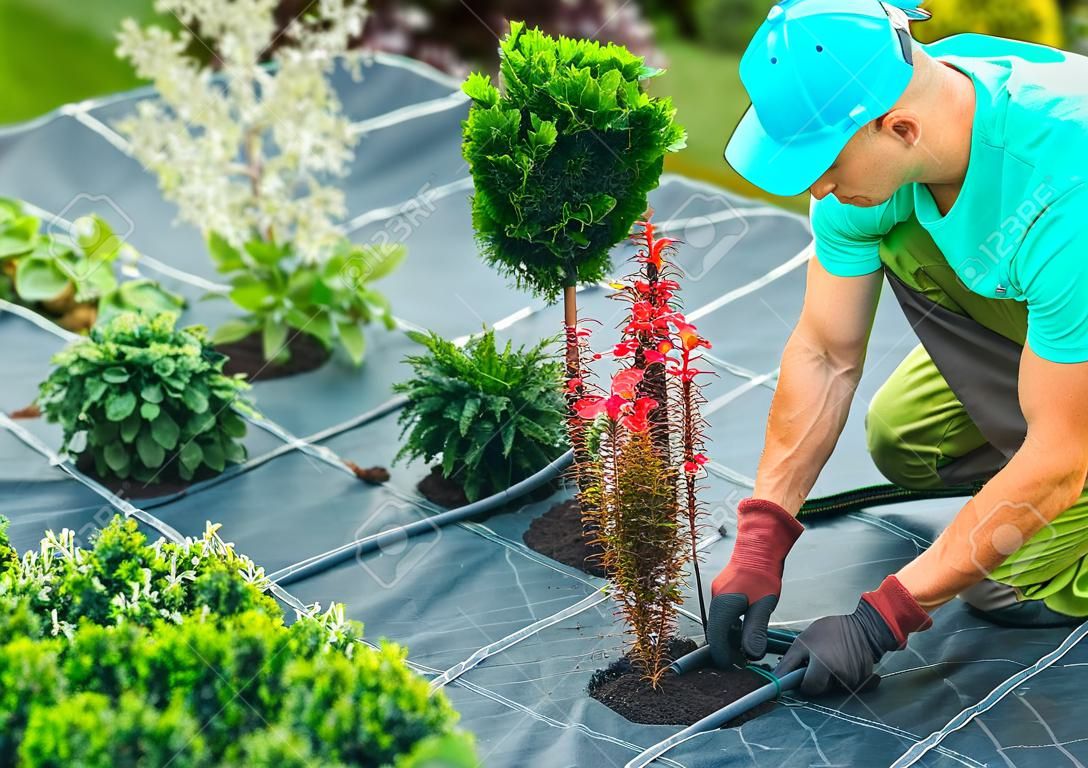 Jardinero caucásico profesional que construye un sistema de riego de plantas en un jardín desarrollado. Tema industrial.