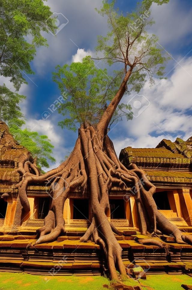 Antiguo templo khmer budista en el complejo de Angkor Wat, Siem Reap Camboya Asia