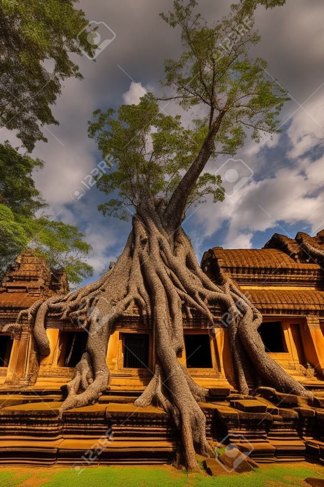 Antiguo templo khmer budista en el complejo de Angkor Wat, Siem Reap Camboya Asia