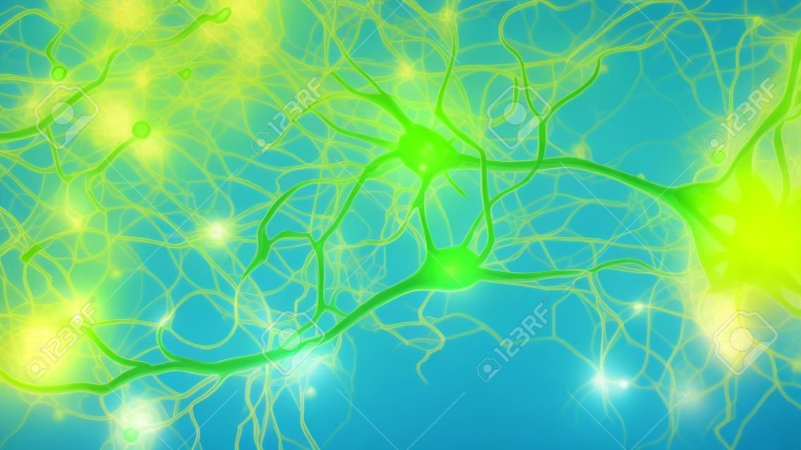ニューロン細胞概念