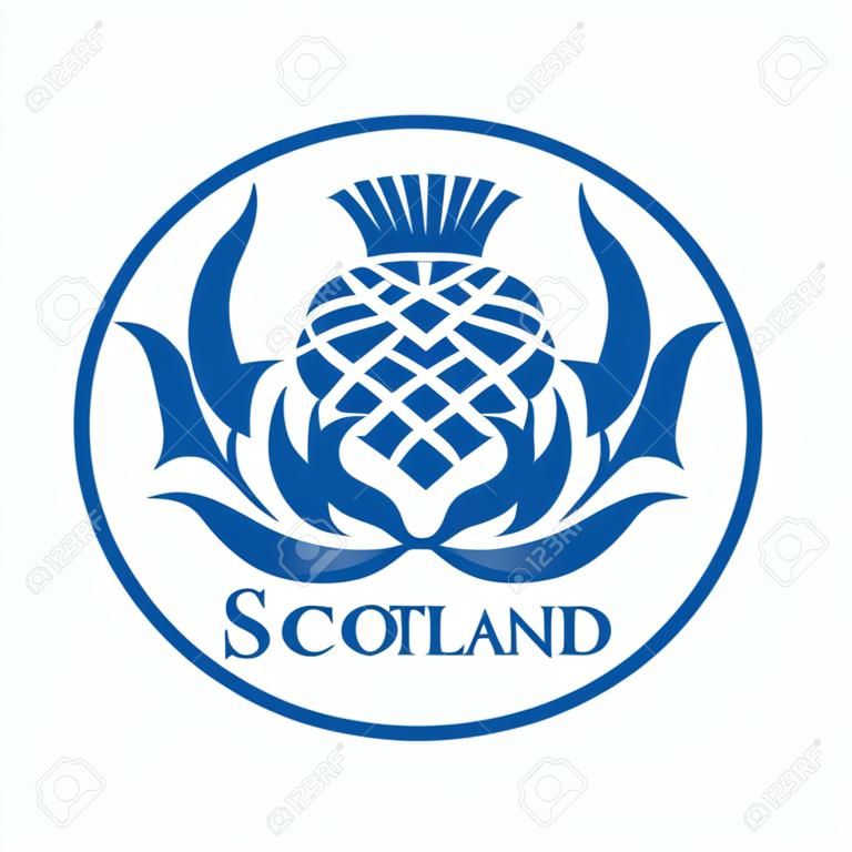 苏格兰，蓟的花徽