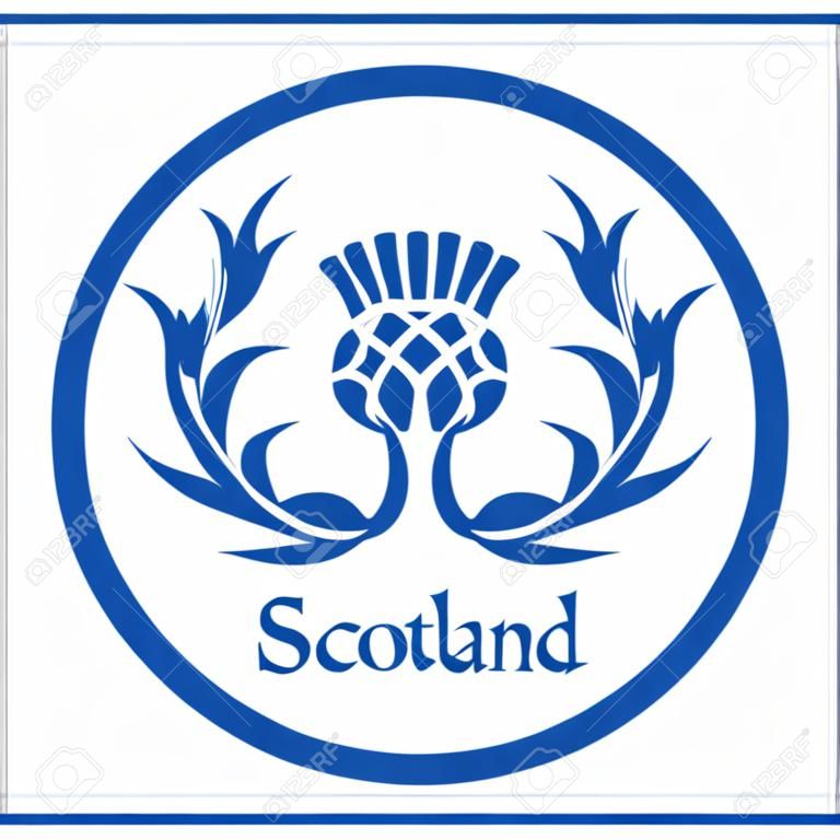 Floral emblem of Scotland, the thistle