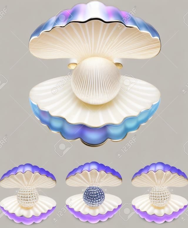 在不同顏色的貝殼集珍珠