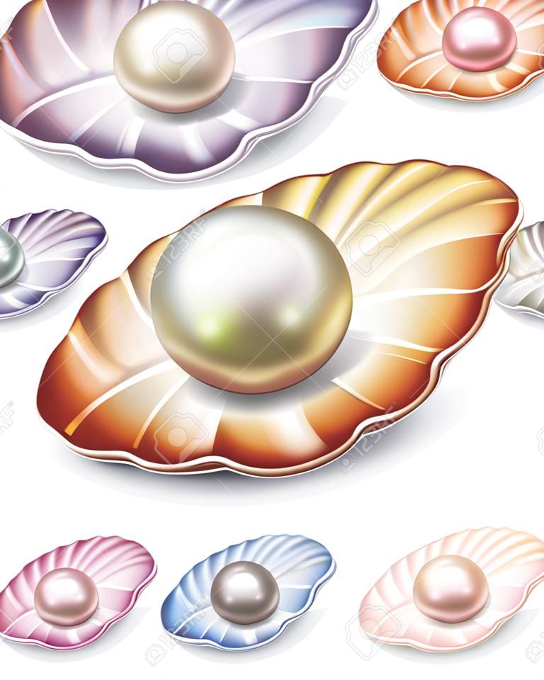 套在不同颜色的贝壳中的珍珠