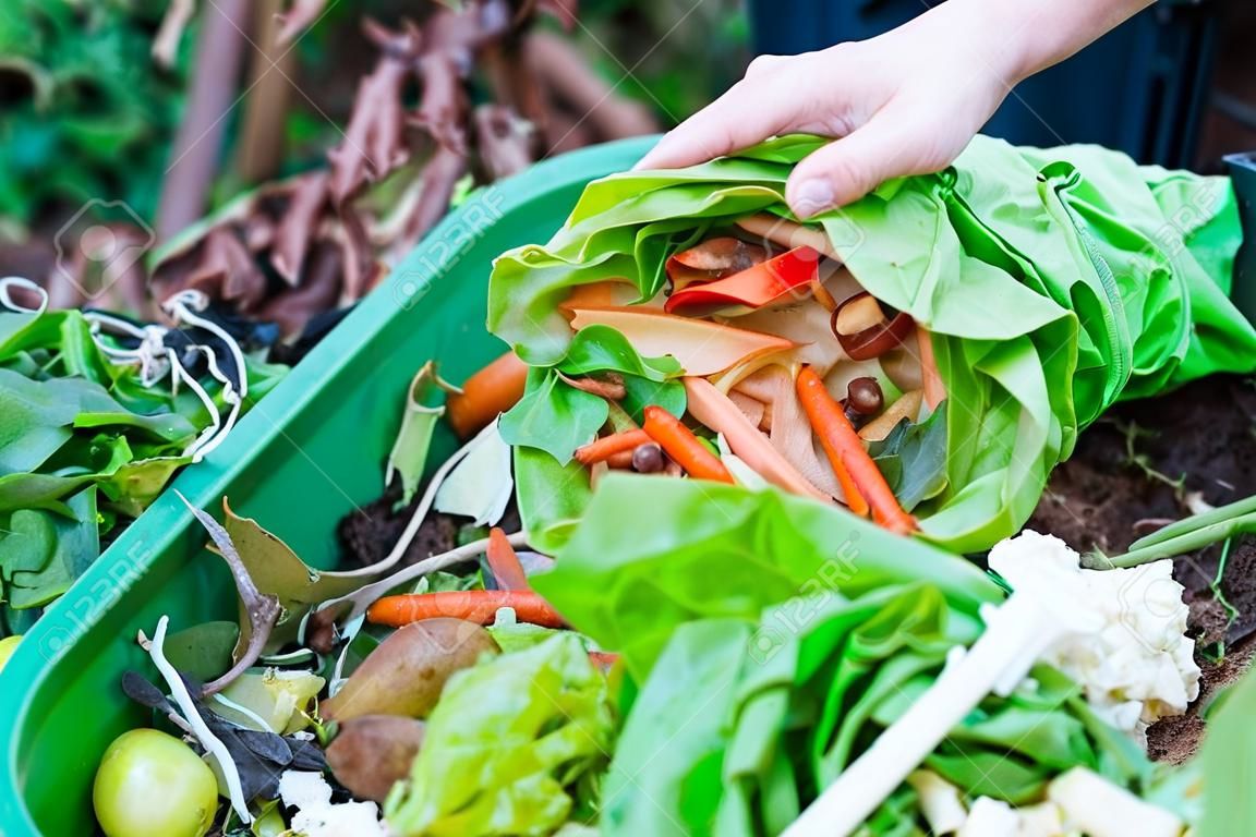 Composting the Kitchen Waste