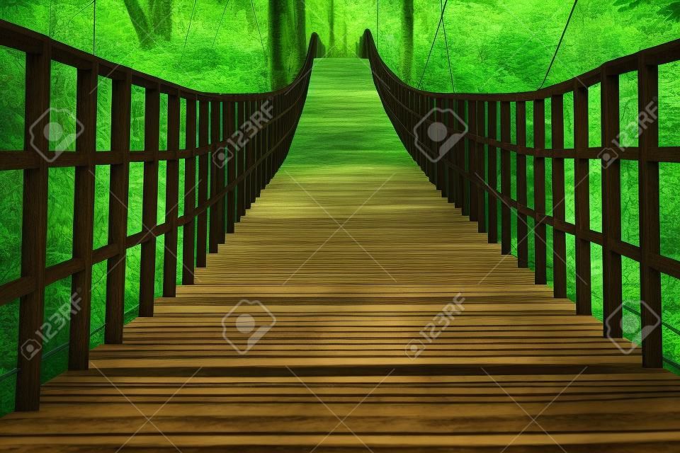 Rope walkway through the treetops in a rain forest