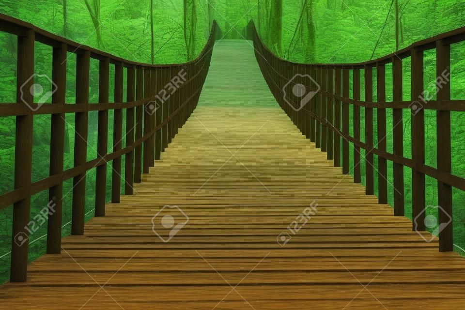 Rope walkway through the treetops in a rain forest