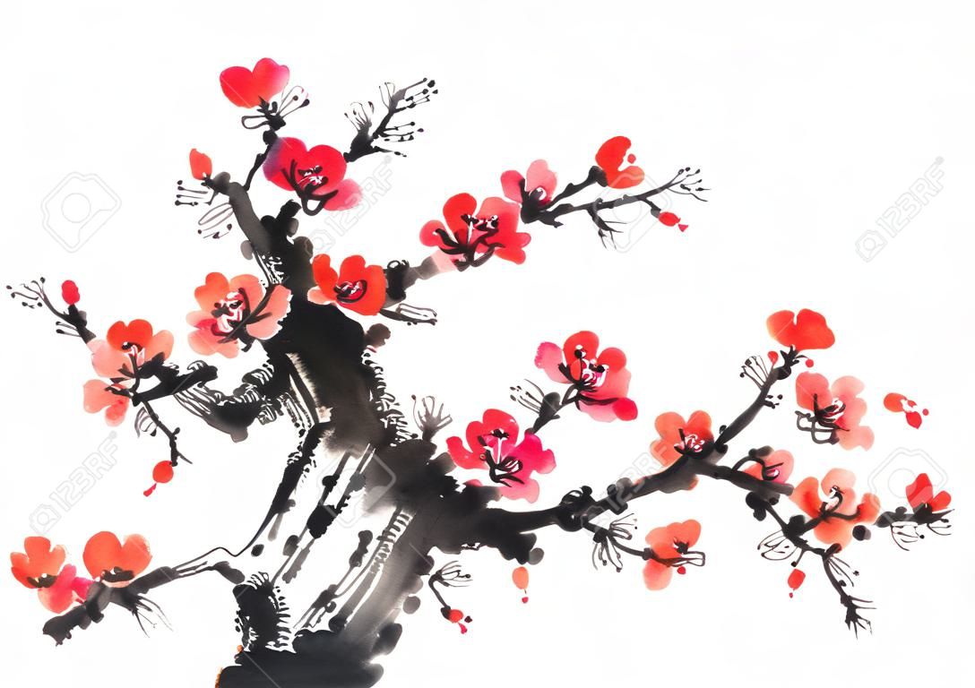 Pittura cinese di fiori, fiore di prugna su sfondo bianco.