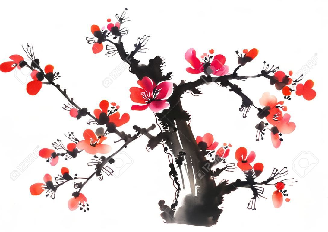 Pittura cinese di fiori, fiore di prugna su sfondo bianco.