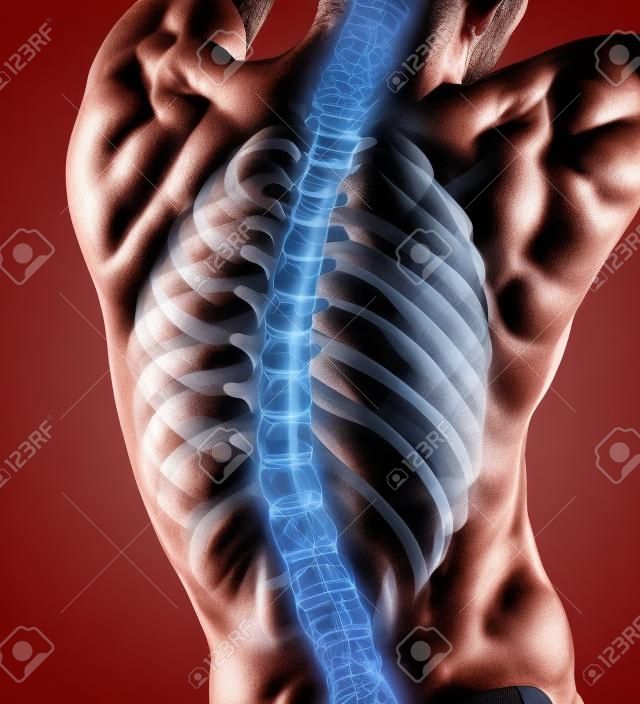 Análisis de columna vertebral de cuerpo masculino