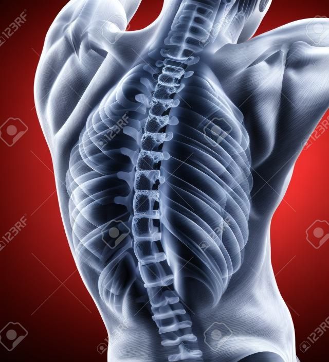 Análisis de columna vertebral de cuerpo masculino