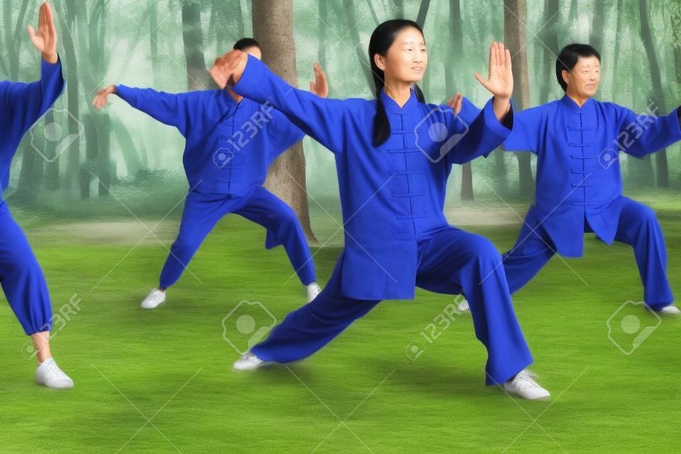 Taijiquan master introducing a new move for her students