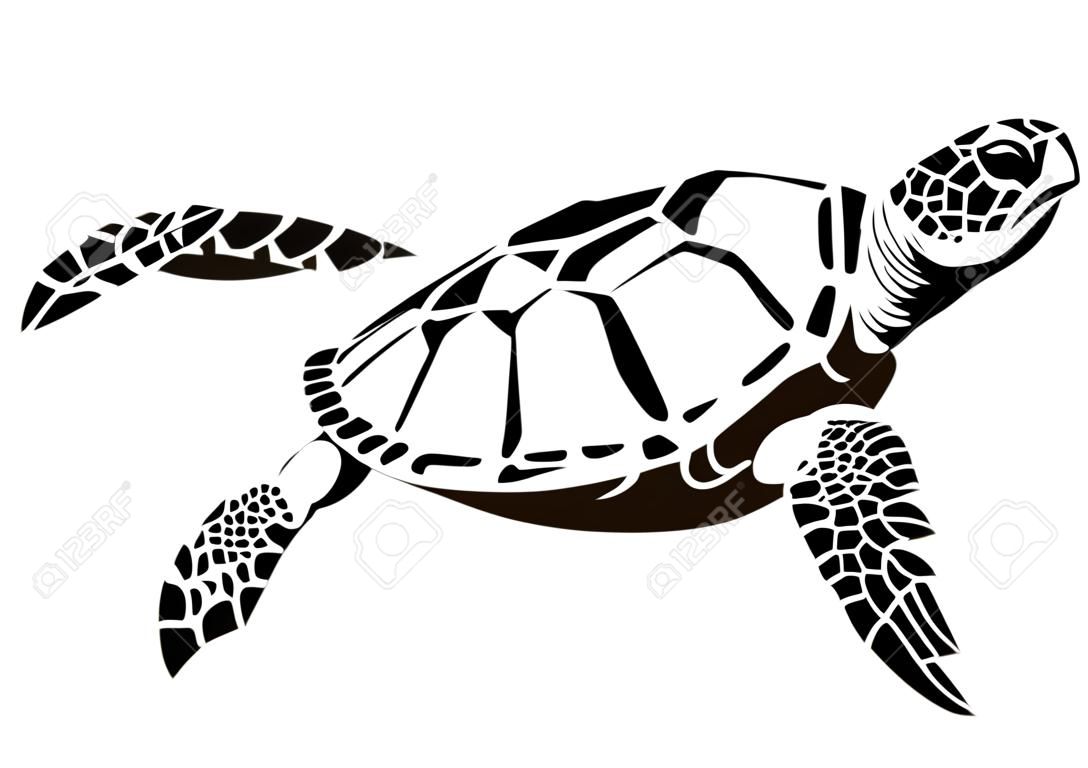 grafikai tengeri teknős, vektor
