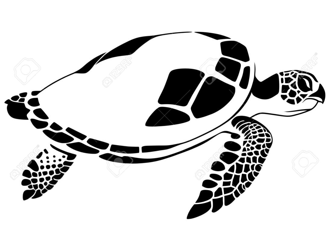 graphic sea turtle, vector