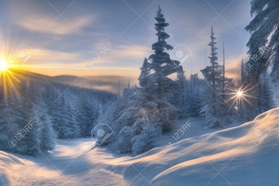 Belle pente à travers la forêt d'épicéas dans la station de ski au coucher du soleil oeuvre d'art 3d fond de nature spectaculaire. forêt enneigée d'hiver au coucher du soleil superbe fond d'écran de paysage photo. illustration d'art hivernal