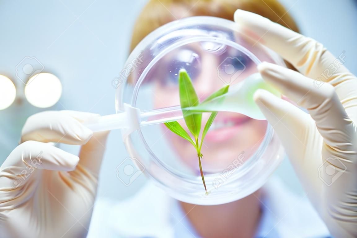 Frau Wissenschaftler hält ein Reagenzglas mit Pflanzen